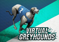 Virtual Racing - Greyhounds